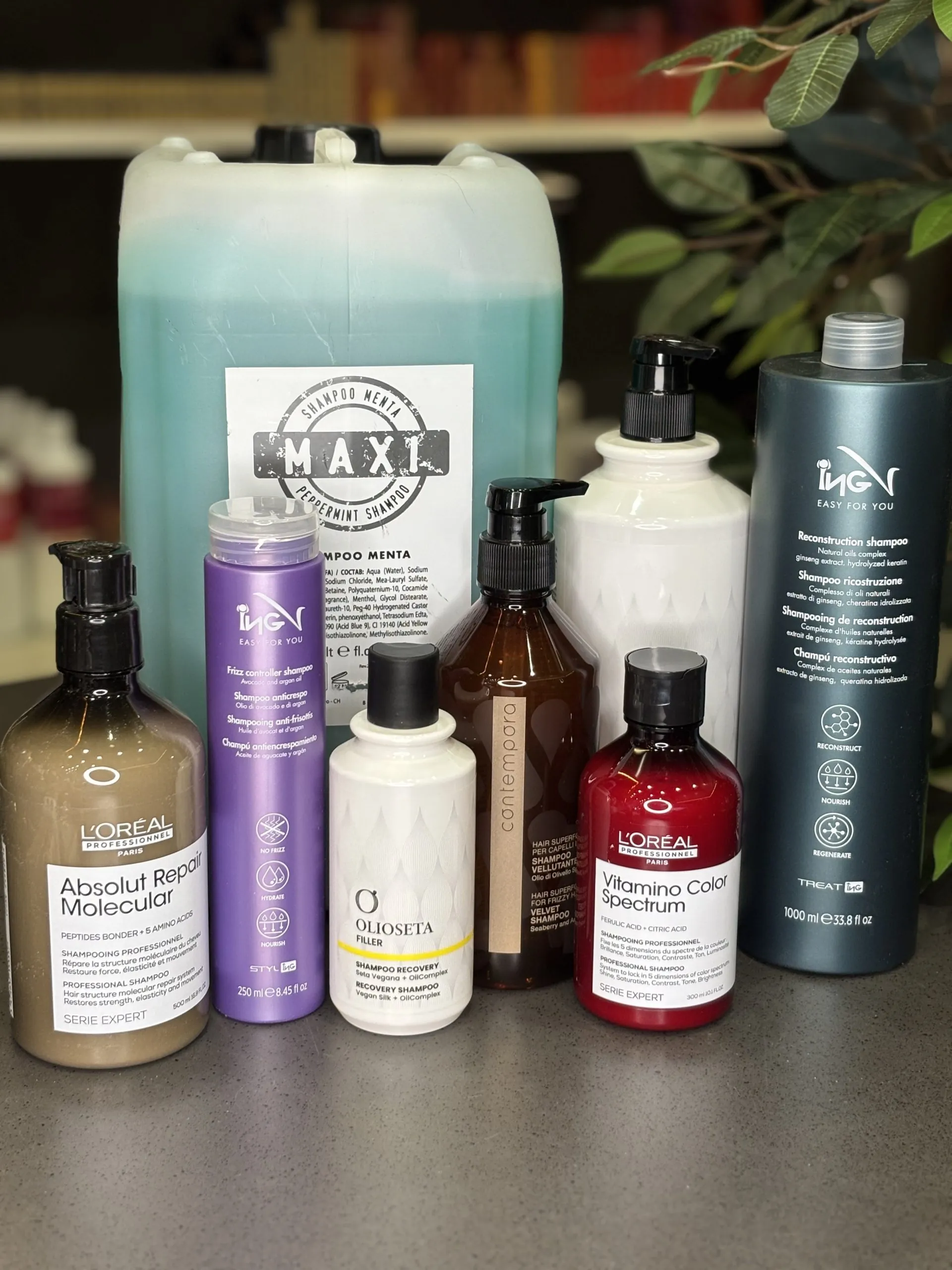 Shampoo